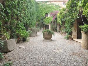 un jardín con un patio con macetas de plantas en Mas de San Feliu, en Viladamat