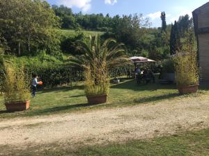 Gallery image of Affitta Camere Il Pettirosso in Fermo +19 photos