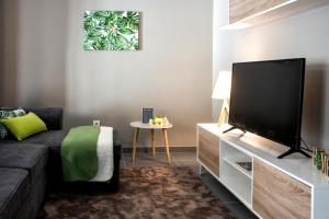 蓬塔德爾加達的住宿－StoneHouse，带沙发和平面电视的客厅