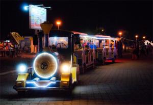un petit train sur un trajet la nuit dans l'établissement Airen Hotel Velipoje, à Velipojë
