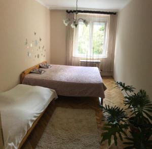 Fotografia z galérie ubytovania Arany Apartman Kaposvár v destinácii Kaposvár