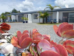 a group of red plants in front of a building at Mana-Nui Motel in Whitianga