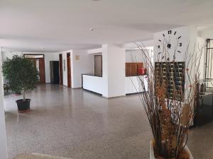 Lobby alebo recepcia v ubytovaní Sweet Dreams Tenerife Las Américas by Vapagó Tenerife + 37 fotografií