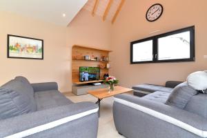 a living room with two blue couches and a tv at Gîte de Munt'Z SPA, Sauna, piscine, proche de Colmar in Muntzenheim