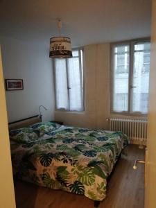 a bedroom with a bed with a green comforter and windows at Appartement hyper centre ville au calme in Besançon
