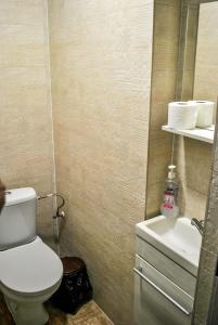 シビウにあるHostel PanGeeaのバスルーム(トイレ、洗面台付)