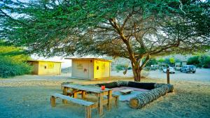 una mesa de picnic y un sofá bajo un árbol en Negev Camel Ranch, en Dimona