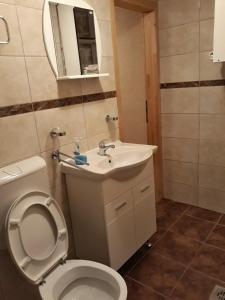 bagno con servizi igienici, lavandino e specchio di Apartments Lanmari a Risan