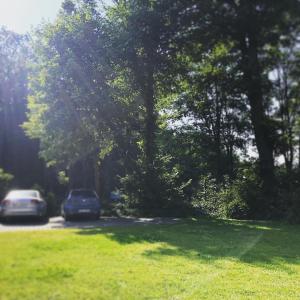 a car parked on the side of a road near a tree at Willa Potok in Krynica Zdrój