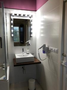 a bathroom with a sink and a mirror at Pazo de Laia in Palas de Rei 