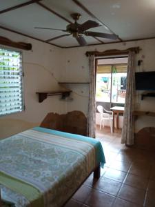 TV a/nebo společenská místnost v ubytování Hostal Hansi