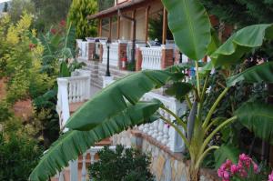 Zahrada ubytování Hotel Ramosaco, Radhimë, Vlorë