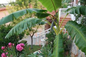 Zahrada ubytování Hotel Ramosaco, Radhimë, Vlorë