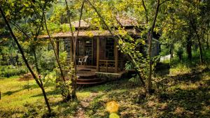 ZACS VALLEY RESORT, Kodaikanal في كوديكانال: منزل صغير وسط غابة