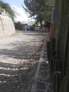 Foto Bernalis asuva majutusasutuse Casa de Cactus galeriist