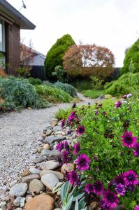 un jardín con flores púrpuras en un camino de grava en Modern & homely comfort, en Vermont South