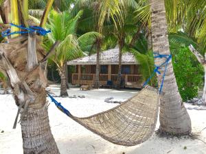 a hammock hanging from two palm trees on a beach at Modessa Island in Roxas
