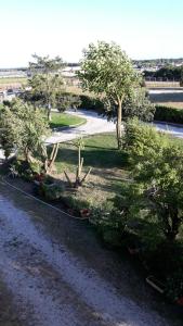 ネットゥーノにあるCasa Vacanze nel Verde a 5 Km dal mareの道中の木々や植物のある庭園