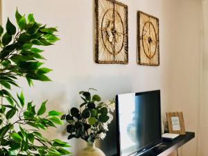 una tv seduta su un tavolo con un vaso e piante di Canaryislandshost l Surf Lanzarote a Famara