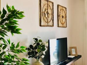 a tv sitting on a table with a vase and plants at Canaryislandshost l Surf Lanzarote in Famara