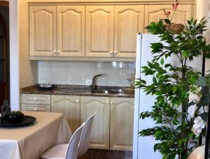 a kitchen with a sink and a white refrigerator at Canaryislandshost l Surf Lanzarote in Famara