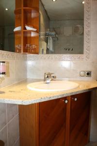 a bathroom counter with a sink and a mirror at Hotel Waldhorn in Friedrichshafen
