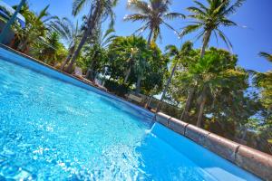 uma piscina com palmeiras ao fundo em Ash's Holiday Units em Karumba