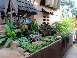 Zahrada ubytování Baanfai Guesthouse Chiangkhong