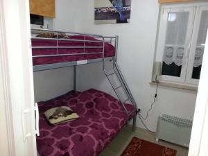 Двухъярусная кровать или двухъярусные кровати в номере Ferienhaus Günther Werder-Havel