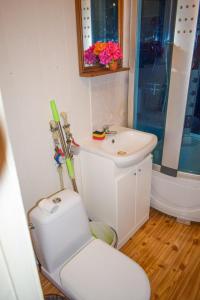 a bathroom with a toilet and a sink at Chernobyl type rooms in a block flat house in Šiauliai