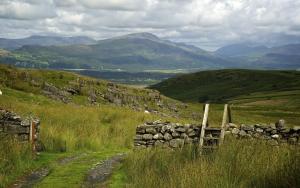 a stone fence on a hill with mountains in the background at Ystumgwern Luxury Barn Conversions in Dyffryn