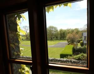 a view from a window of a yard at Ystumgwern Luxury Barn Conversions in Dyffryn