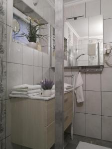 ein Bad mit einem Waschbecken und einem Spiegel in der Unterkunft Levendula Apartman in Makó