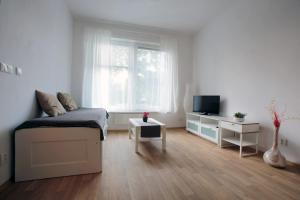 Televízia a/alebo spoločenská miestnosť v ubytovaní Penzion - Apartments Pod Javořicí