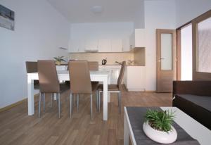Kuchyňa alebo kuchynka v ubytovaní Penzion - Apartments Pod Javořicí + 11 fotografií