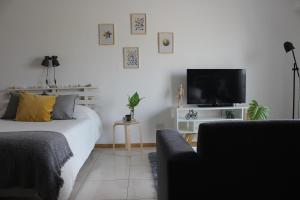 1 dormitorio con 1 cama, TV y sofá en Bright & Cozy Apart near City Center, Caballito en Buenos Aires