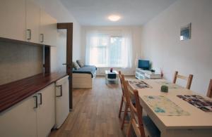 Kuchyňa alebo kuchynka v ubytovaní Penzion - Apartments Pod Javořicí