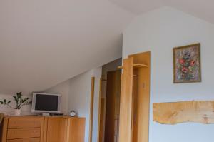 TV a/nebo společenská místnost v ubytování Miškar Rooms