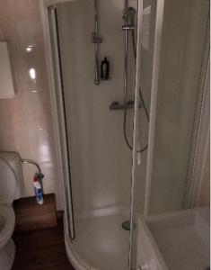 a bathroom with a shower and a toilet at Home Brasserie in Wanlin