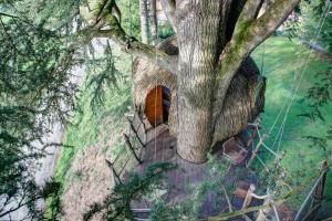 a tree house with a staircase around a tree at Insolite dans les arbres Les Ormes, Epiniac in Epiniac