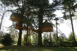 a tree house on two trees in a park at Insolite dans les arbres Les Ormes, Epiniac in Epiniac