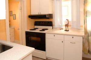 a kitchen with a black and white stove top oven at Adorable Historic Downtown Apartment in Saint Augustine +18 photos