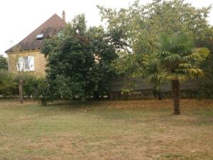 a house with a palm tree in front of it at les noyers in Saint-Vincent-de-Cosse