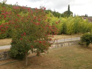 Photo de la galerie de l'établissement les noyers, à Saint-Vincent-de-Cosse