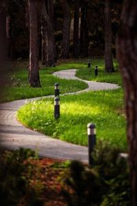 ścieżka w parku z drzewami i trawą w obiekcie Z-Hotel Business & Spa w Otwocku