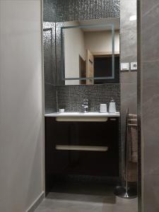 a bathroom with a sink and a mirror at Irina Apartments in Timişoara