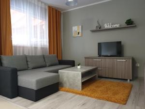 ein Wohnzimmer mit einem Sofa und einem TV in der Unterkunft Irina Apartments in Timişoara