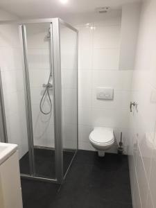 a bathroom with a toilet and a glass shower at Central sweet BNB in Amsterdam