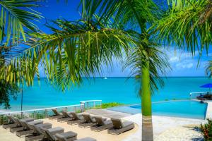 a beach with palm trees and palm trees at Cocobay Resort Antigua - All Inclusive - Adults Only in Johnsons Point