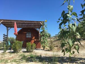 A garden outside casa cologna glamping